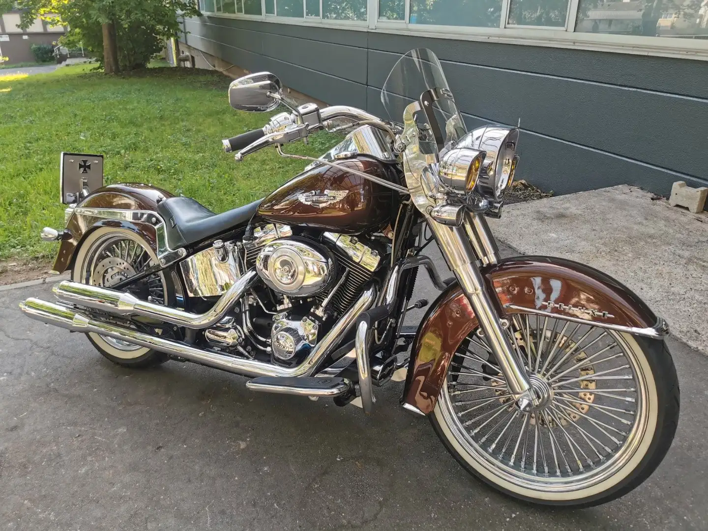 Harley-Davidson Softail Deluxe 103 ABS| Miller| Big Spoke Custom Hnědá - 1