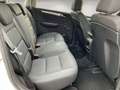 Mercedes-Benz B 200 AT Sport Edit. Klima PDC SHZ Alb - thumbnail 12