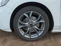 Ford Focus Turnier ST-Line 1,0 125PS Aut.LED/ACC/Navi/Kamera/ Bianco - thumbnail 14