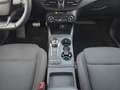 Ford Focus Turnier ST-Line 1,0 125PS Aut.LED/ACC/Navi/Kamera/ Bianco - thumbnail 11