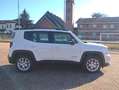 Jeep Renegade 1.0 T3 Limited Bianco - thumbnail 6