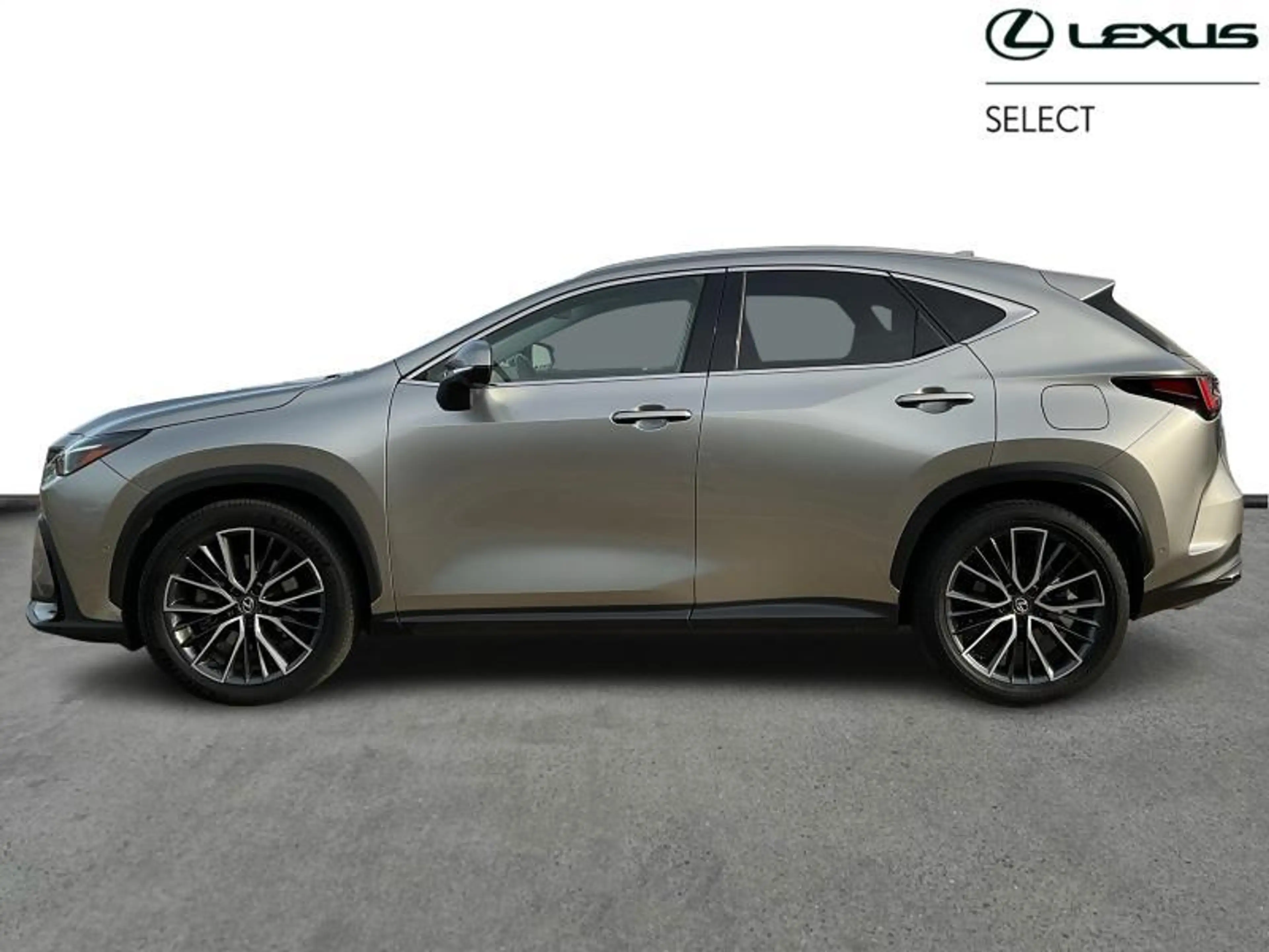 Lexus NX 450h+ 309hp PHEV AWD Privilege L | sunroof | tow bar | h — photo 3