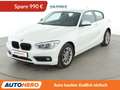 BMW 116 116d Advantage *TEMPO*PDC*ALU* Weiß - thumbnail 1
