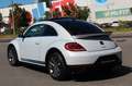 Volkswagen Beetle 2,0 TSI DSG Exclusive R-Line Pano Fender Silber - thumbnail 6