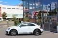 Volkswagen Beetle 2,0 TSI DSG Exclusive R-Line Pano Fender Silber - thumbnail 3