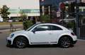 Volkswagen Beetle 2,0 TSI DSG Exclusive R-Line Pano Fender Silber - thumbnail 4