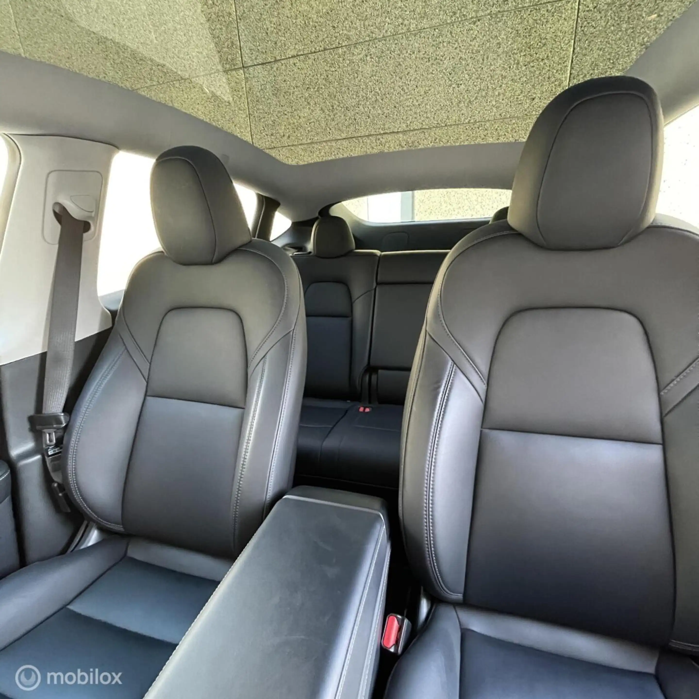 Tesla Model Y + MMX PACK + IAP + 20" — photo 9