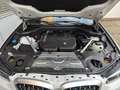 BMW X4 xDrive30i Laser ParkAs+ DrivAs AHK HUD Weiß - thumbnail 12