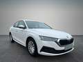 Skoda Octavia 2.0 TDI *limo*Top Zustand* Weiß - thumbnail 9