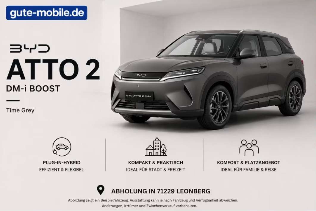 BYD Sonstige