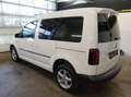 Volkswagen Caddy Kombi Austria Plus 2.0 TDI 4Motion Weiß - thumbnail 16