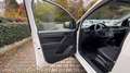 Volkswagen Caddy NFZ Maxi Kasten Benzin/CNG/1H./Mwst Blanc - thumbnail 12