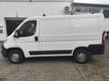 Citroen Jumper 30 L1H1 PROLINE BlueHDi 110 Weiß - thumbnail 7