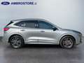Ford Kuga III 2020 - Kuga 2.5 full hybrid ST-Line X 2wd 190c Brown - thumbnail 4