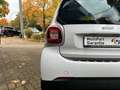 smart forTwo fortwo coupe Basis 45kW Weiß - thumbnail 11