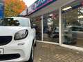 smart forTwo fortwo coupe Basis 45kW Weiß - thumbnail 3