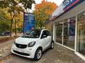 smart forTwo fortwo coupe Basis 45kW Weiß - thumbnail 1