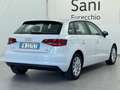 Audi A3 A3 Sportback 1.6 tdi Business 110cv E6 Wit - thumbnail 4