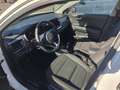 Kia Stonic Stonic 1.2 dpi Style s/Navi Pack gpl 82cv Bianco - thumbnail 13