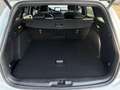 Ford Focus ACTIVE X Turnier 125PS EcoBoost Weiß - thumbnail 7