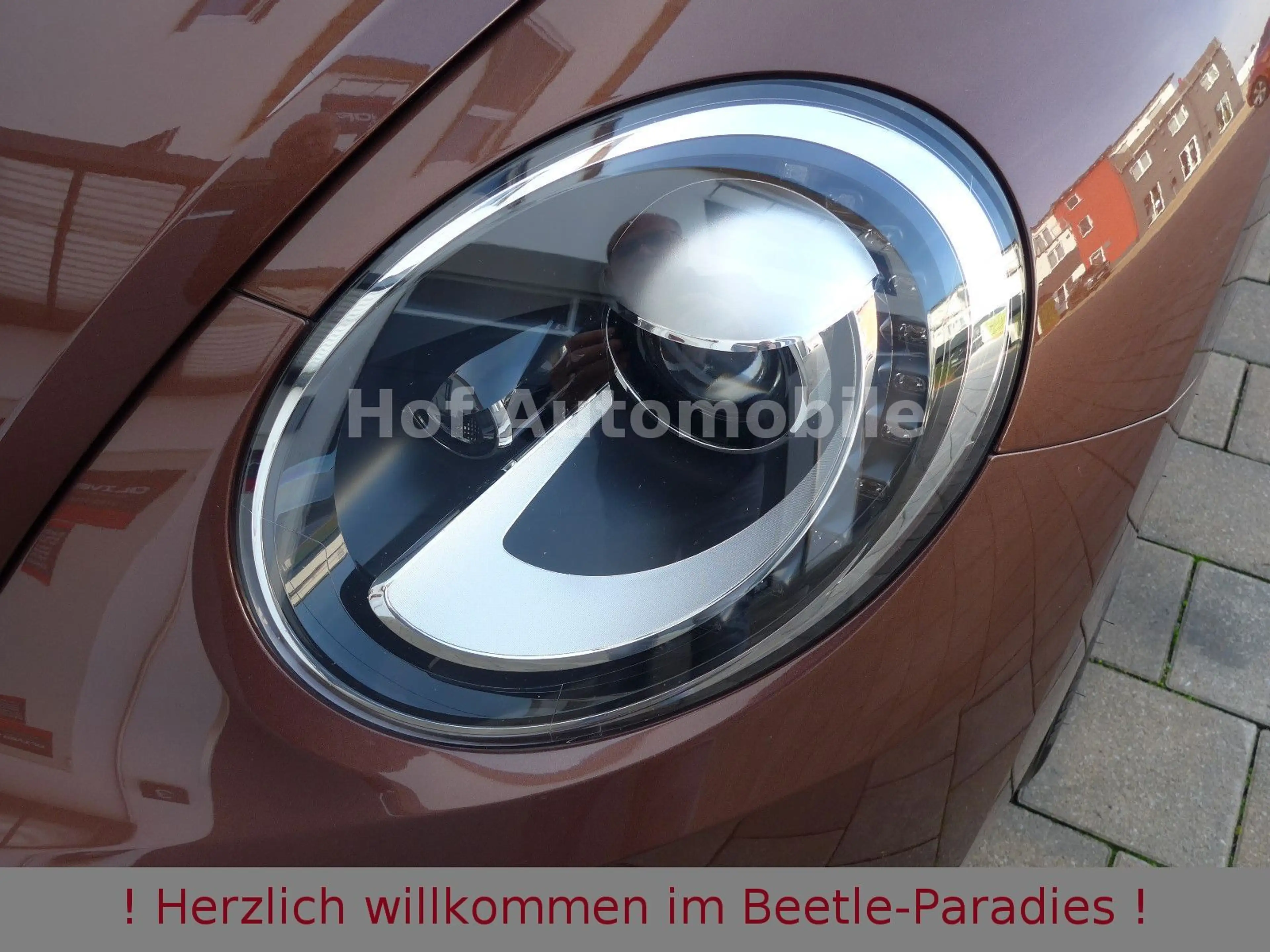 Volkswagen Beetle 1.4TSI DSG Allstar-Plus Fender Kamera App — photo 15