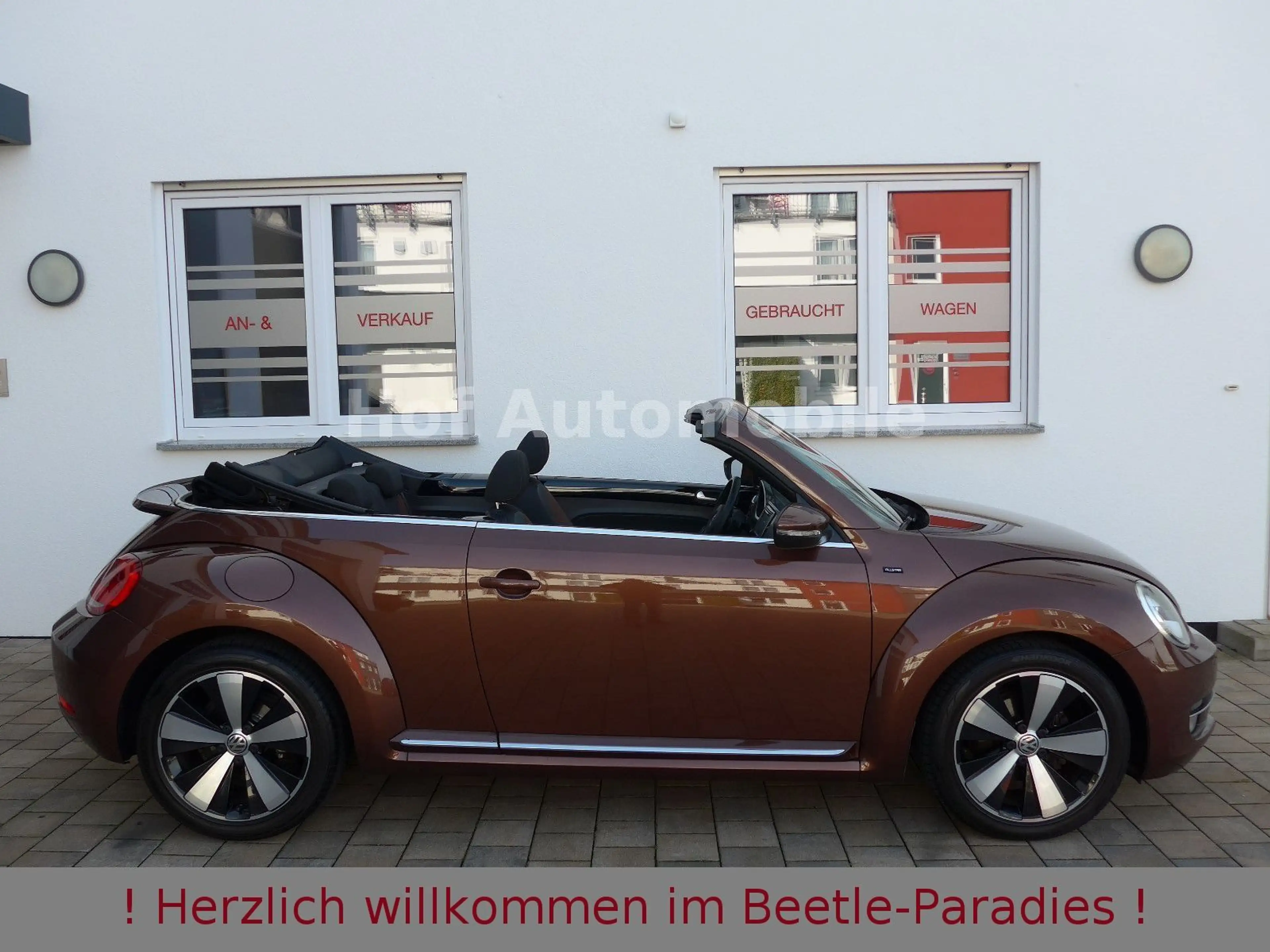 Volkswagen Beetle 1.4TSI DSG Allstar-Plus Fender Kamera App — photo 3