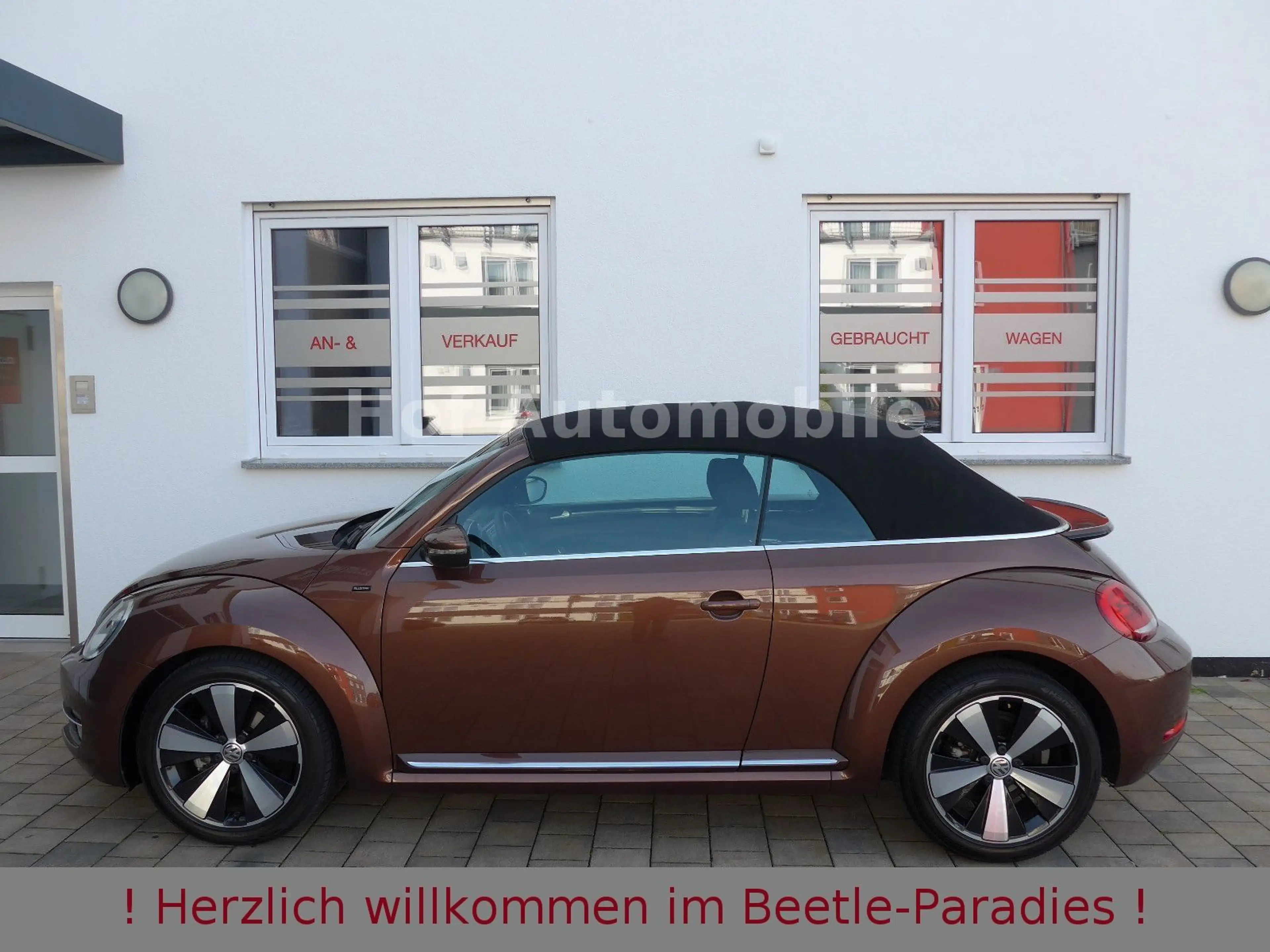 Volkswagen Beetle 1.4TSI DSG Allstar-Plus Fender Kamera App — photo 8