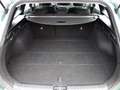 Kia Ceed SW / cee'd SW Ceed SW 1.0 T-GDi 100 cv Spin Airco, GPS Kia 👍 Vert - thumbnail 20