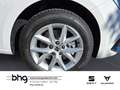 SEAT Leon Sportstourer Road Edition 2.0 TDI  7-Gang-D Weiß - thumbnail 11