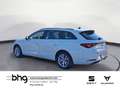 SEAT Leon Sportstourer Road Edition 2.0 TDI  7-Gang-D Weiß - thumbnail 3