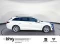 SEAT Leon Sportstourer Road Edition 2.0 TDI  7-Gang-D Weiß - thumbnail 5