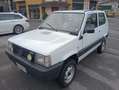 Fiat Panda 1.0 Trekking 4x4 - thumbnail 6
