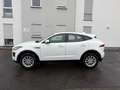 Jaguar E-Pace E-PACE Basis Blanc - thumbnail 7