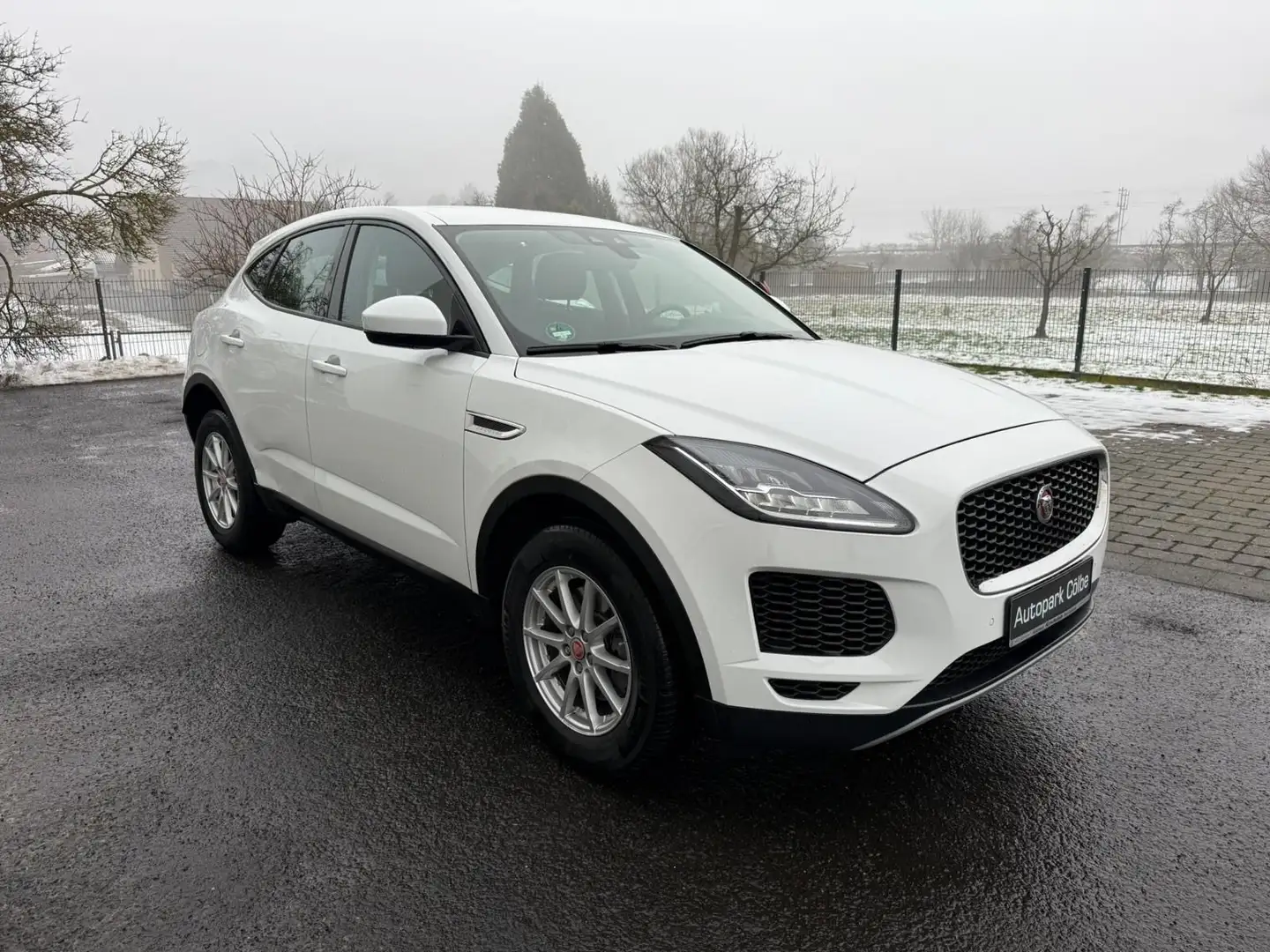 Jaguar E-Pace E-PACE Basis Blanc - 2