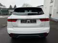 Jaguar E-Pace E-PACE Basis Blanc - thumbnail 6