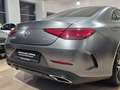 Mercedes-Benz CLS 400 CLS400d 4Matic Edition 1,Magno,3D Burmester,AMG Gris - thumbnail 9