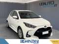Toyota Yaris Yaris 1.5 Hybrid 5 porte Business Bianco - thumbnail 2