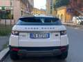 Land Rover Range Rover Evoque 3p 2.2 td4 Pure Tech Pack 150cv - thumbnail 2