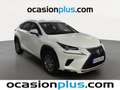 Lexus NX 300 300h Business Navigation 2WD Blanco - thumbnail 2