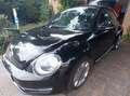 Volkswagen Beetle The Beetle 1.2 TSI iBeetle Design Noir - thumbnail 11