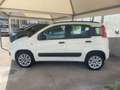 Fiat Panda Panda III  0.9 t.air t. natural power Lounge 80cv Blanc - thumbnail 4