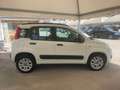 Fiat Panda Panda III  0.9 t.air t. natural power Lounge 80cv Blanc - thumbnail 5