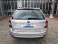 Skoda Octavia Octavia  2017 Wagon  1.6 tdi Style 115c Dsg Argento - thumbnail 6