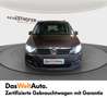Volkswagen Sharan Business TDI SCR Braun - thumbnail 2