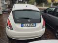 Lancia Ypsilon Ypsilon 1.2 Gold 69cv NEOPATENTATI GARANZIA Bianco - thumbnail 5