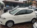 Lancia Ypsilon Ypsilon 1.2 Gold 69cv NEOPATENTATI GARANZIA Bianco - thumbnail 4