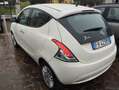 Lancia Ypsilon Ypsilon 1.2 Gold 69cv NEOPATENTATI GARANZIA Bianco - thumbnail 6