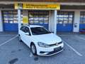 Volkswagen Golf Variant 1,6 TDI SCR Weiß - thumbnail 1