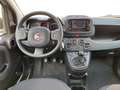 Fiat Panda My23 1.0 70cv Hybrid Panda Bianco - thumbnail 11
