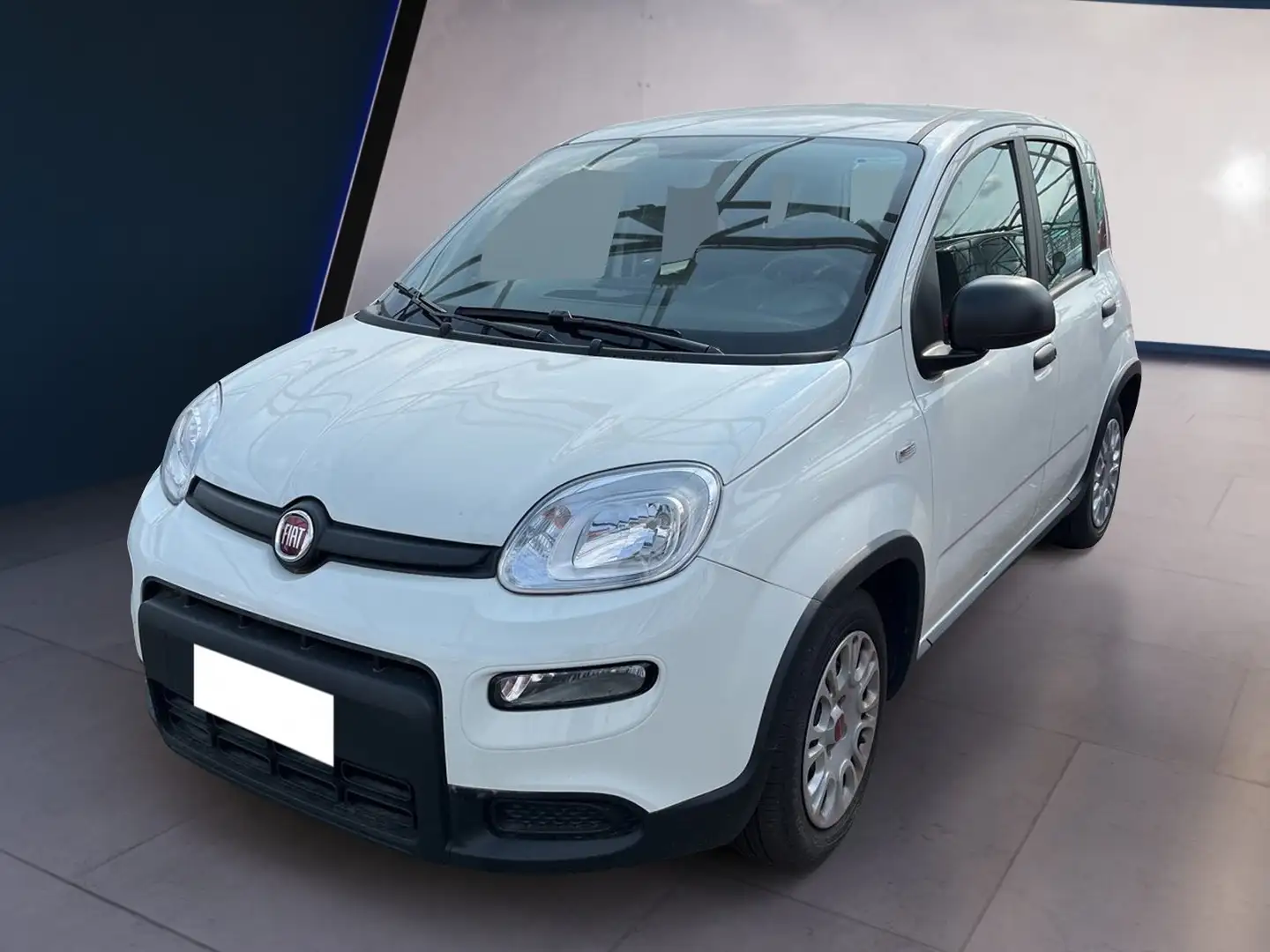 Fiat Panda My23 1.0 70cv Hybrid Panda Bianco - 2